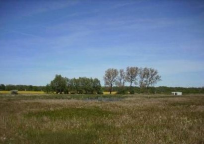 działka na sprzedaż - Baranów, Basin