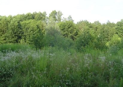 działka na sprzedaż - Grodzisk Mazowiecki, Mościska