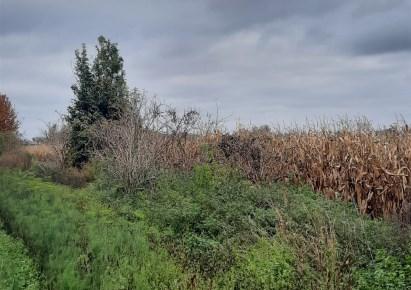 działka na sprzedaż - Radziejowice, Zazdrość