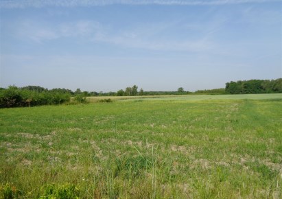 działka na sprzedaż - Żabia Wola, Jastrzębnik