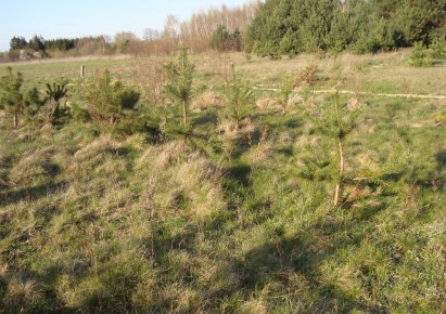 działka na sprzedaż - Żabia Wola, Żelechów