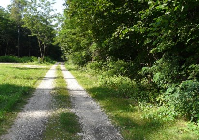 działka na sprzedaż - Puszcza Mariańska, Olszanka