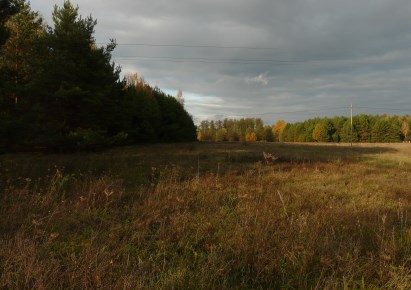 działka na sprzedaż - Puszcza Mariańska