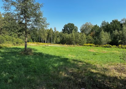 działka na sprzedaż - Żabia Wola, Słubica A