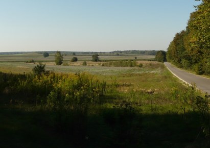 działka na sprzedaż - Rawa Mazowiecka, Przewodowice