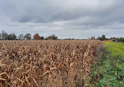 działka na sprzedaż - Baranów, Basin