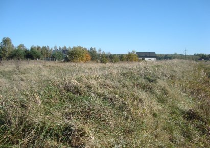 działka na sprzedaż - Żabia Wola, Żelechów