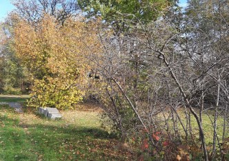 działka na sprzedaż - Grodzisk Mazowiecki, Szczęsne