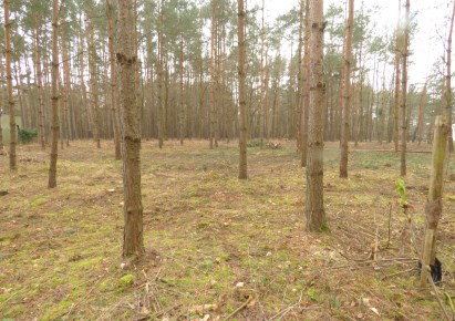 działka na sprzedaż - Żabia Wola, Wycinki Osowskie