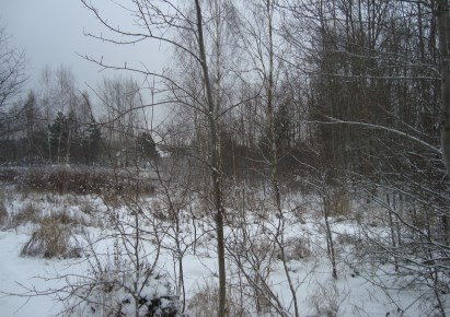 działka na sprzedaż - Grodzisk Mazowiecki, Chrzanów Mały